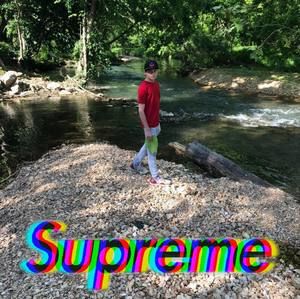 Meet your Posher, Shelby